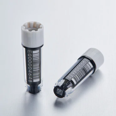 艾本德Eppendorf CryoStorage Vial，無菌, 無菌, 0.5 mL, 不含 DNase、RNase、人類 DNA 和內(nèi)毒素；外螺紋，預(yù)先加蓋灰色管蓋，帶 2D SafeCode 